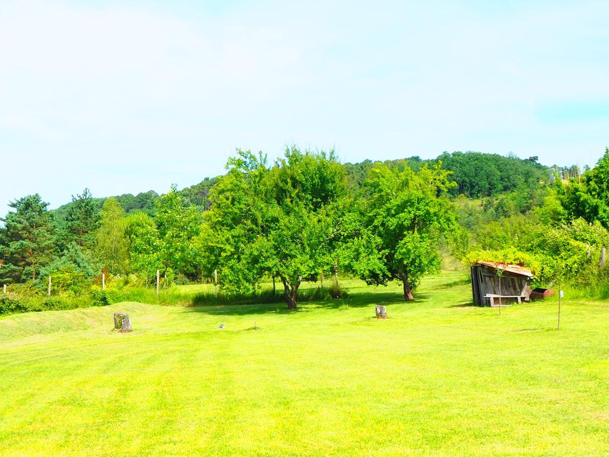 La Belle Verte Grignols (Dordogne) Exterior foto